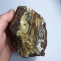 konkrece-s-kalcitovou-vyplni-zkamenele-drevo-polsko-gnaszyn-8065791161abc959d47c4