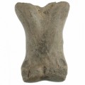 Equus hydruntinus  prstová kost 25b891a7555c41