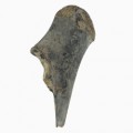 Equus Hydruntinus Ulna 35c0d6d24163c3