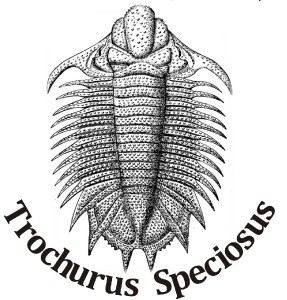 trochurus-speciosus.jpg