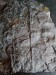 IMG_20181208_101924
