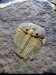 IMG_20190331_203406